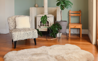 Why Quality Sheepskin Rugs are a Must-Have for your Home