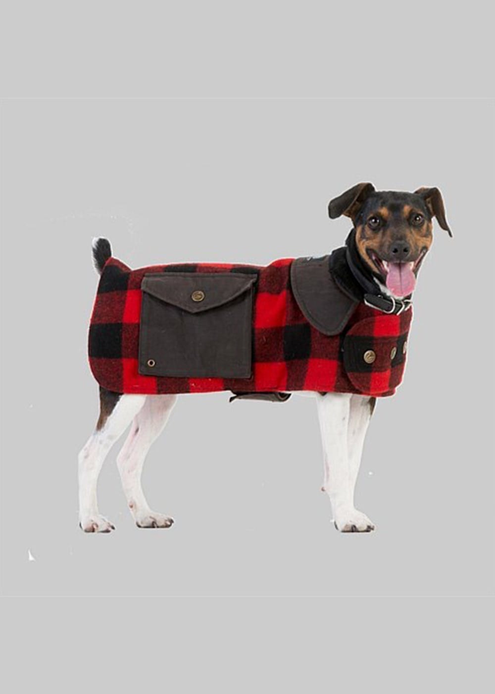 swanndri dog coat